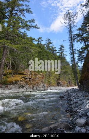 Fotografiert am Burnt Bridge Creek während einer Wanderung auf dem Burnt Bridge Loop Trail, Bella Coola Valley, British Columbia, Kanada Stockfoto