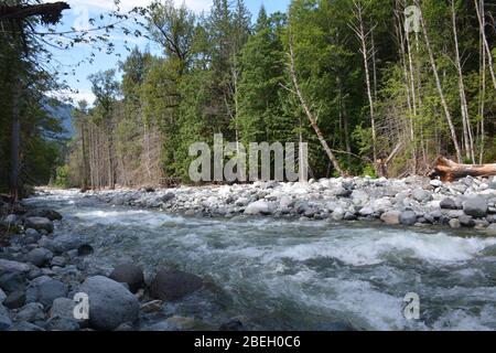 Fotografiert am Burnt Bridge Creek während einer Wanderung auf dem Burnt Bridge Loop Trail, Bella Coola Valley, British Columbia, Kanada Stockfoto