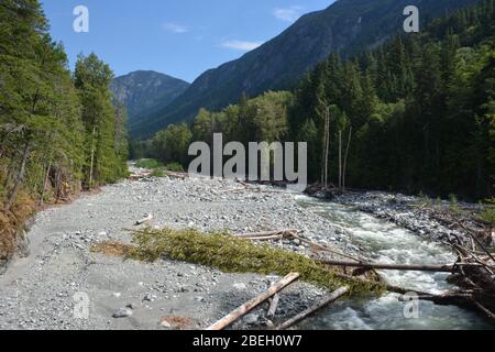 Fotografiert am Burnt Bridge Creek während einer Wanderung auf dem Burnt Bridge Loop Trail, Bella Coola Valley, British Columbia, Kanada Stockfoto