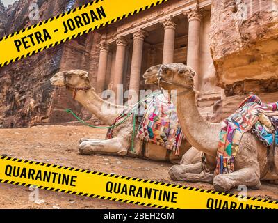 Beduinen Kamel liegt in der Nähe der Schatzkammer Al Khazneh Stockfoto
