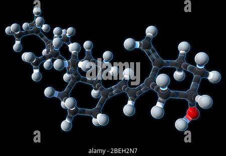 Vitamin D2, Molekularmodell Stockfoto