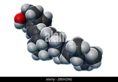 Vitamin D2, Molekularmodell Stockfoto