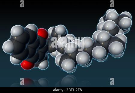 Vitamin K1, Molekulares Modell Stockfoto