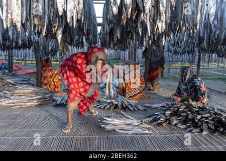 Frauen unter den Fischen in einem Fischerdorf nördlich von Cox's Bazar Stockfoto