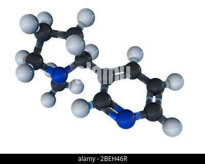 Nikotin-Molekularmodell Stockfoto