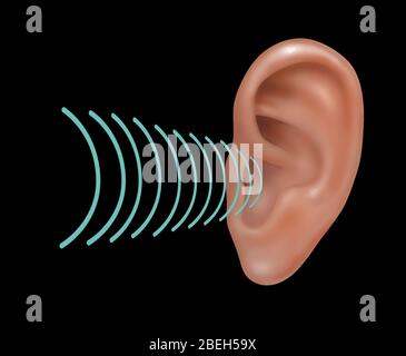 Ton Tritt In Das Menschliche Außenohr Ein, Illustration Stockfoto