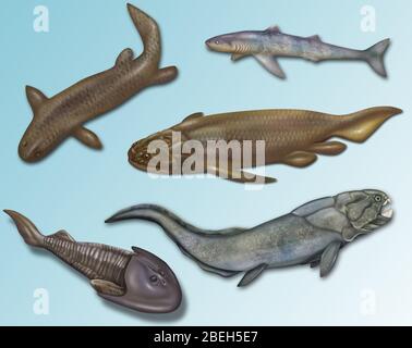 Prähistorische Fische, Illustration Stockfoto