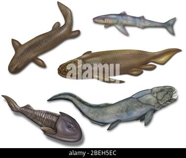 Prähistorische Fische, Illustration Stockfoto