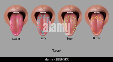 Geschmackskarte, Illustration Stockfoto