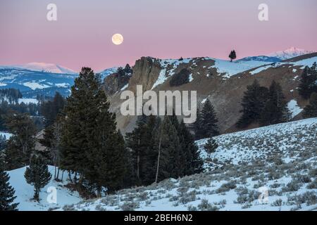 Vollmond über der Gallatin Range im Yellowstone National Park Stockfoto