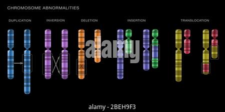 Chromosomenveränderungen, Illustration Stockfoto