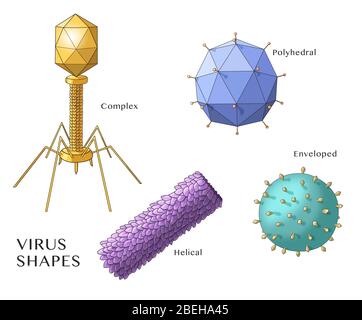 Virenformen, Illustration Stockfoto
