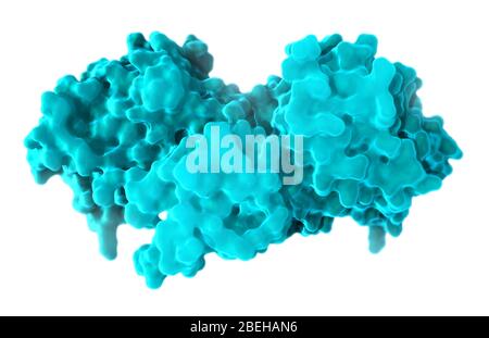 B-Raf Protein, Molekularmodell Stockfoto