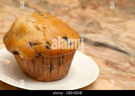 Blueberry Muffin, von James D Coppinger/Dembinsky Photo Assoc Stockfoto