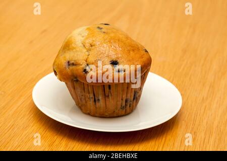 Blueberry Muffin, von James D Coppinger/Dembinsky Photo Assoc Stockfoto