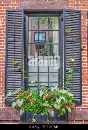 Großes Fenster in einer Stadt mit blau/grauen Fensterläden und einem Fensterkasten mit lebendigen Blumen und Pflanzen.Es gibt eine Reflexion im Fenster eines anderen Fensters. Stockfoto