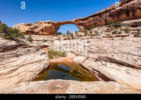 Owachomo Bridge in Natural Bridges National Monument, Stockfoto