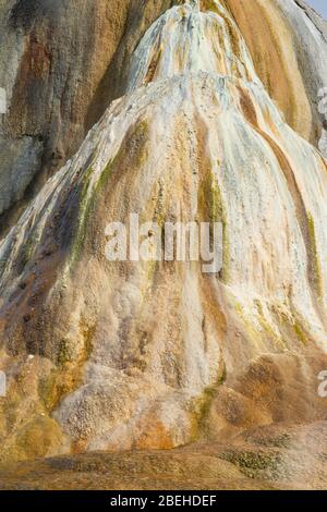 Der Hügel der Orange Spring im Yellowstone Nationalpark Stockfoto