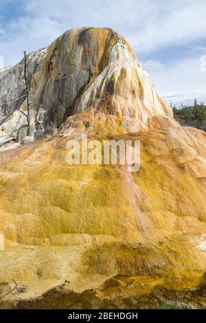 Der Hügel der Orange Spring im Yellowstone Nationalpark Stockfoto