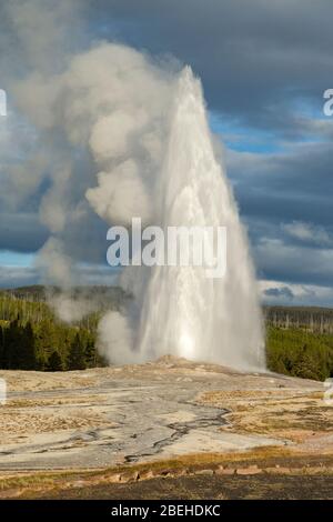 Alte treue Geysire im Yellowstone Nationalpark Stockfoto