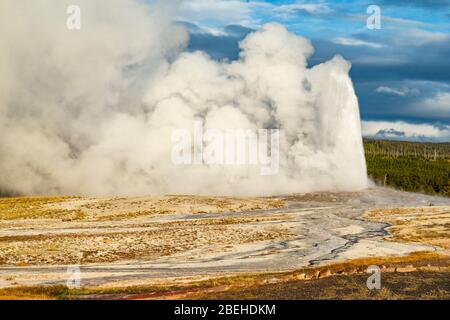 Alte treue Geysire im Yellowstone Nationalpark Stockfoto