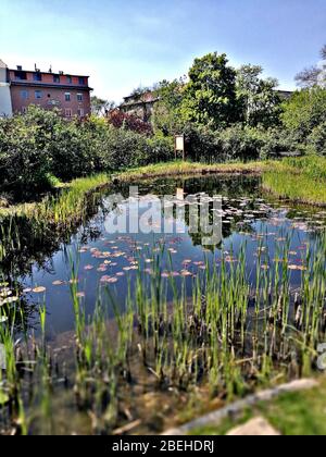 Ein großer Körper von Wasser umgeben von Bäumen Stockfoto