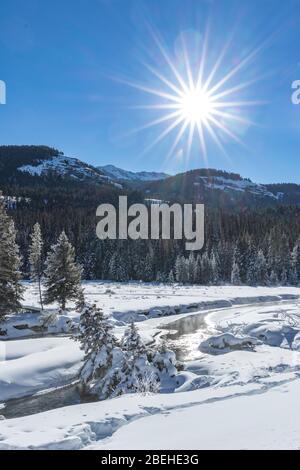 Soda Butte Creek im Winter im Yellowstone Nationalpark Stockfoto