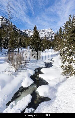 Soda Butte Creek im Winter im Yellowstone Nationalpark Stockfoto