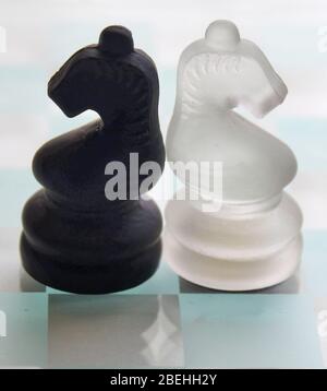 Schwarz-weiß Glas Ritter Schachfiguren auf Glasbrett. Stockfoto