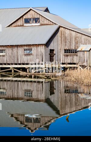 Historisches Holzgebäude der Britannia Ship Yard an der Steveston Waterfront in British Columbia, Kanada Stockfoto