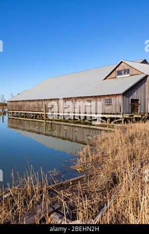 Historisches Holzgebäude der Britannia Ship Yard an der Steveston Waterfront in British Columbia, Kanada Stockfoto