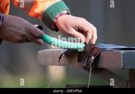 Nordhorn, Deutschland. April 2020. Ein Baumpfer bereitet eine Eichen-Prozessionsfalle vor. Im Frühjahr werden sich die Raupen der Eichen-Prozessionsmotte wieder über das gesamte Gebiet ausbreiten. Die Stadt wird 200 sogenannte Baumringenfallen installieren, um die Raupen des Tieres zu bekämpfen. Quelle: Friso Gentsch/dpa/Alamy Live News Stockfoto