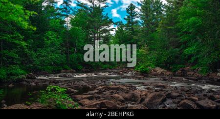 Algonquin Highlands County Cottage Land Vistas Wasserfälle und Flora Fauna Ontario, Kanada Stockfoto