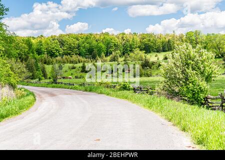 Lang Pioneer Village Keene Ontario Peterborough County Canada im Sommer Stockfoto