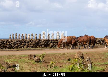 Einige wilde Pferde und die fünfzehn Moais von Ahu Tongariki auf dem Hintergrund. Osterinsel, Chile Stockfoto