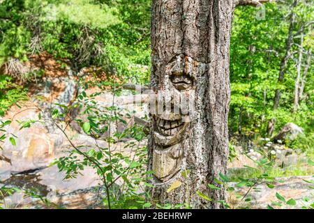 Algonquin Highlands County Cottage Land Vistas Wasserfälle und Flora Fauna Ontario, Kanada Stockfoto