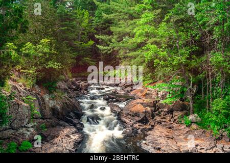 Algonquin Highlands County Cottage Land Vistas Wasserfälle und Flora Fauna Ontario, Kanada Stockfoto