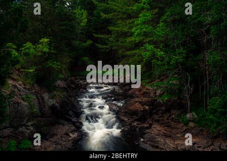 Algonquin Highlands County Cottage Land Vistas Wasserfälle und Flora Fauna Ontario, Kanada Stockfoto