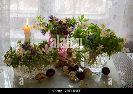 Mehrere Vasen mit Frühlingsblumen und Ostereiern auf hellem Hintergrund. Stockfoto