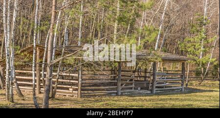 Corral für Pferde auf einer Weide im Wald. Stockfoto