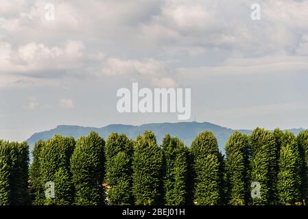 Blick auf die Landschaft von bunten Bergen und grünen Bäumen in der Toskana, Italien. Stockfoto