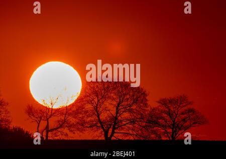 Schwerin, Deutschland. April 2020. Die Sonne geht hinter einer Baumgruppe am Schweriner See auf. Quelle: Jens Büttner/dpa-Zentralbild/dpa/Alamy Live News Stockfoto