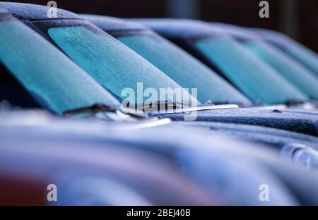 Schwerin, Deutschland. April 2020. Die Windschutzscheiben von Neuwagen in einem Autohaus sind mit einer Eisschicht bedeckt. In Norddeutschland beginnt der Tag mit Temperaturen unter Null Grad. Quelle: Jens Büttner/dpa-Zentralbild/dpa/Alamy Live News Stockfoto