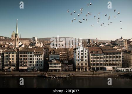 ZÜRICH, SCHWEIZ, UM DEZEMBER 2015 - Zürcher Flusslandschaft mit Limmat und Vögeln, die in einer Herde am blauen Himmel fliegen. Stockfoto