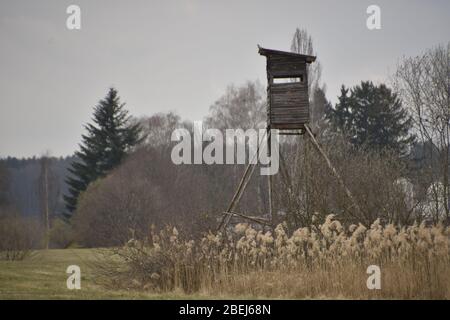 Hoher Sitz des Jägers am Waldrand Stockfoto