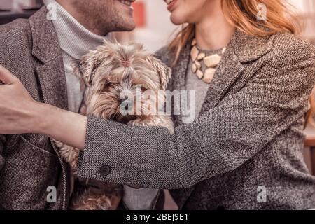 Nahaufnahme eines süßen kleinen Hundes, der von Mann und Frau im Café umarmt wird Stockfoto