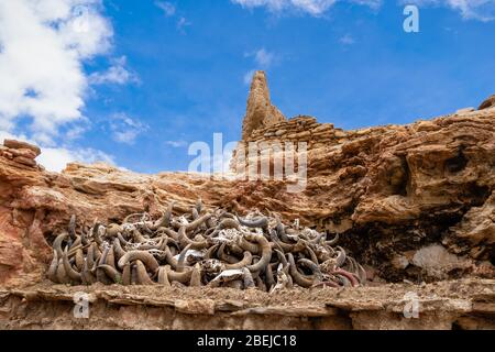 Haufen von Tierschädeln in der Nähe von kleinen alten tibetischen Kloster auf dem Heiligen See Manasarovar, Tibet Stockfoto