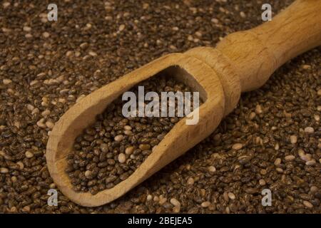 Chia Samen sind ein echtes Supernahrungsmittel mit vielen Vitaminen und Mineralstoffen. Stockfoto