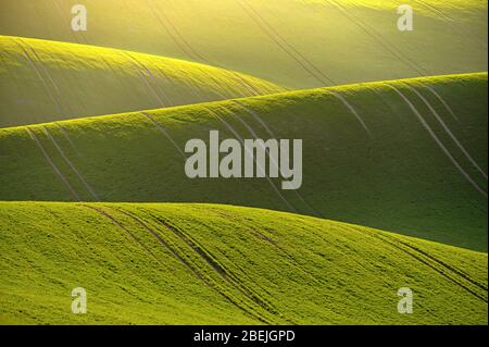 Schöne Frühlingslandschaft mit Feld von Grashügeln bei Sonnenuntergang. Wellen in der Natur Mährische Toskana - Tschechische Republik - Europa. Stockfoto