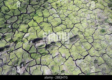 Fußabdrücke und Risse im getrockneten Schlamm in England, Großbritannien. Stockfoto